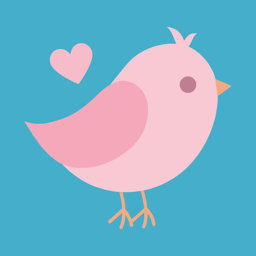 Little Bird